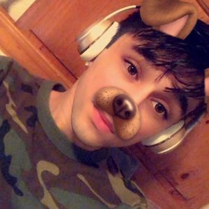 Meet your Posher, Bobby